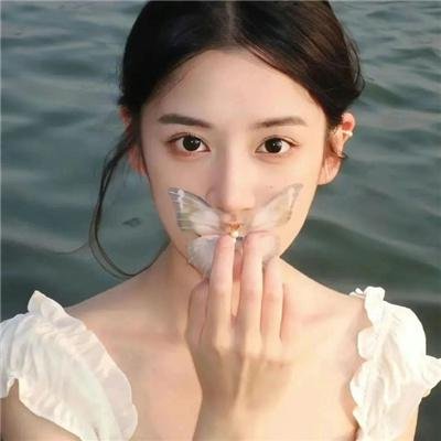 母牛总动员